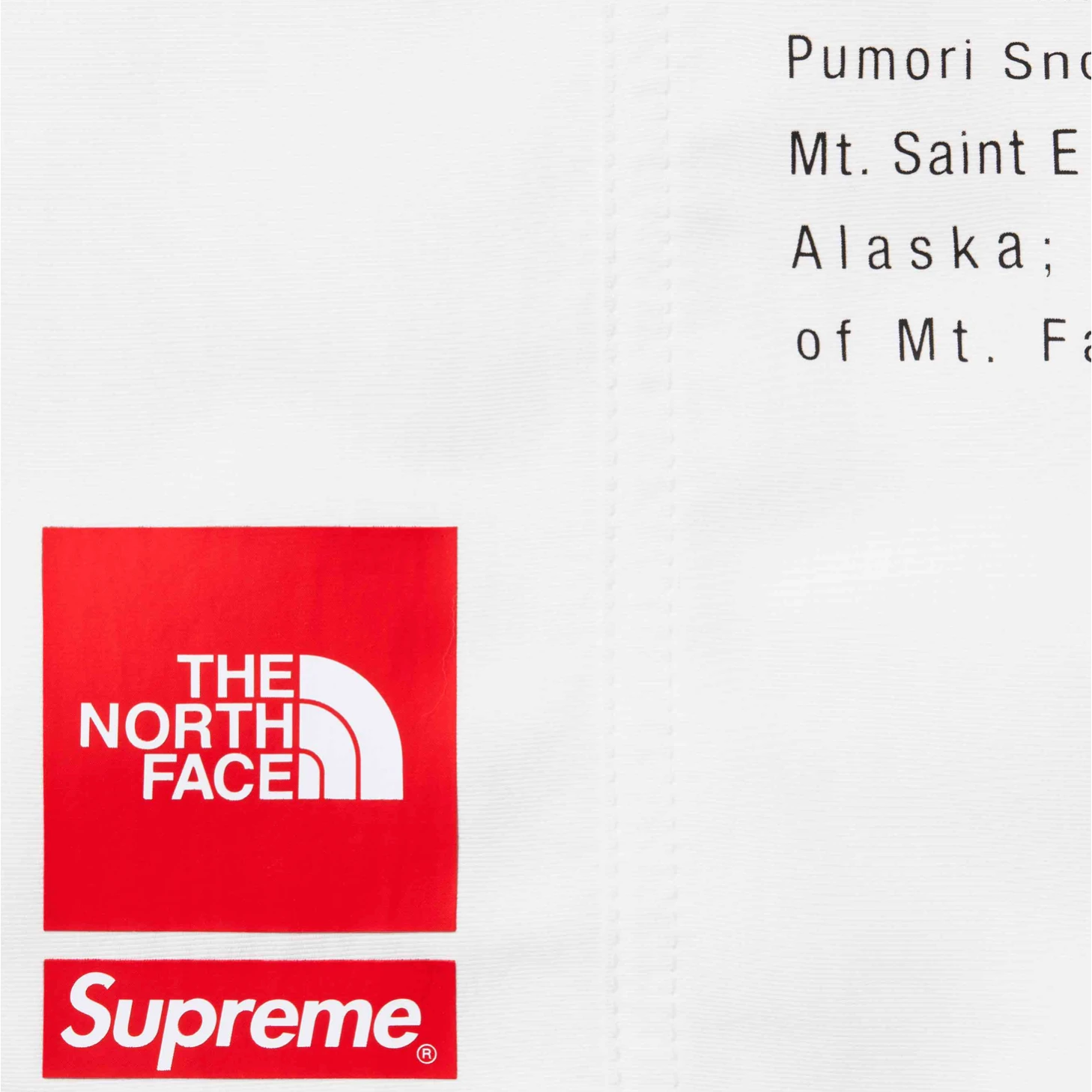 Supreme The North Face Nylon Short White - Image 3