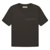 Fear Of God Essentials T-shirt Off Black