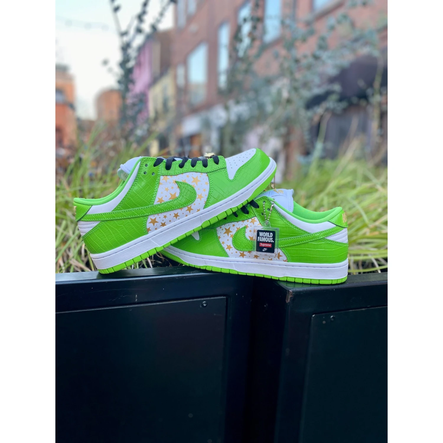 Nike SB Dunk Low Supreme Stars Mean Green (2021) - Image 3